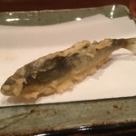 天冨良 よこ田 - 