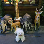 白ワイン×魚介 港町バル - 近くのインド料理店前