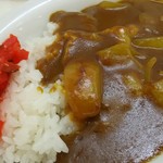 さか本 - ミニカレーのアップ