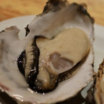 インド風カリーライス すぱいす - 