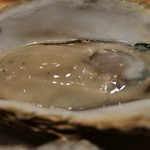 インド風カリーライス すぱいす - 