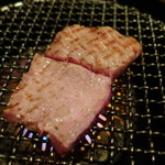 SATOブリアン - タン