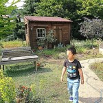 Hitoyasumino Niwa - 庭の小屋