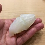 初音鮨 - アオリイカ