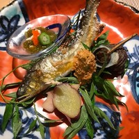魚菜 基 - 