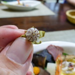 かたつむり - 幻のイワナシ