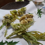 かたつむり - 蕗の薹、ノビル、ハンゴンソウ、熊の脳みそ