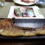 かたつむり - 見て下さい、写真からはみ出すこの長さ