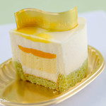 イデミスギノ - ネオ（断面）