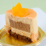 イデミスギノ - アカプルコ（断面）