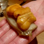 鮨 一幸 - クロアワビ（山口）×アカウニ（小浜）