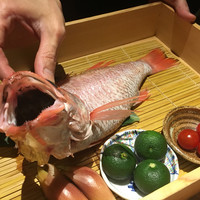 のどぐろ専門 銀座 中俣 - のどぐろ