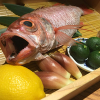 のどぐろ専門 銀座 中俣 - のどぐろ