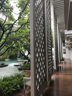 THE IVORY LOUNGE -
