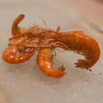 うを徳 - 土州（とさ）四万十川（しまんとがは）手長蝦（てながえび）