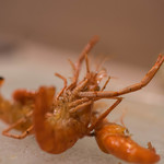 うを徳 - 土州（とさ）四万十川（しまんとがは）手長蝦（てながえび）