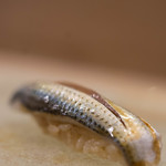 うを徳 - 有明灣（ありあけわん）の小鰭（こはだ）