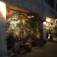 キノシタ - 