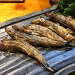 居食屋 わいるどふぁーむ  - 