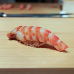 鮨 尚充 - 車えび