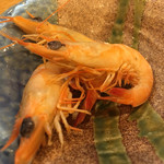 食楽処 あ - お通し アカシャエビ