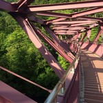 山中温泉　花紫 - 宿近くの散策路