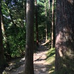 山中温泉　花紫 - 宿近くの散策路