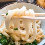 よがなうどん - しょうゆうどん 麺のアップです。（2017.6 byジプシーくん）