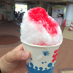 辻堂海浜公園 交通公園 売店