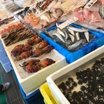 川村鮮魚 - 鮮魚