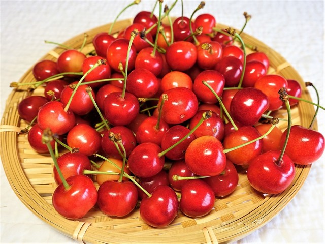 土田さくらんぼ農園 - 羽前高松（その他）の写真