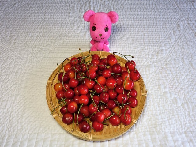 土田さくらんぼ農園 - 羽前高松（その他）の写真