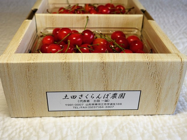 土田さくらんぼ農園 - 羽前高松（その他）の写真