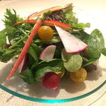 vegetable garden salad