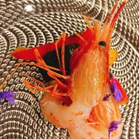 miyashita - 