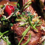 老虎菜 - 仔羊のキャレ、十三香粉炒め　２３００円