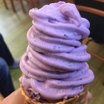 やさとブルーベリーファーム - 