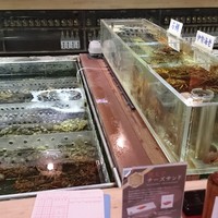 稚加榮 本店 - 