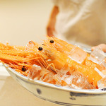 たきや - アカザエビ