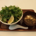 鎌倉bowls - パクチー好きによるパクチー好きのためのパクチー丼セット