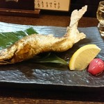 設楽 - 2017.06再びの鮎！わたごと！