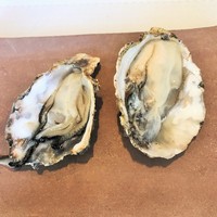 La Brianza - 広島の生牡蠣