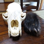 かたつむり - こちらは頭骨と後ろ足。前足は食べちゃいました