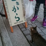 とぉから - 猫も入りたいご様子(^_^)