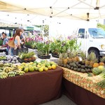 Kakaako Farmers Market - 