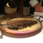 ブレストンコート ユカワタン - 