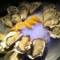 MAIMON GINZA - 