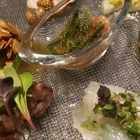オッジ ダルマット 西麻布店 - 