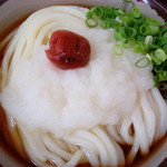 桜製麺 - 