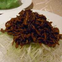四川料理 龍の子 - 